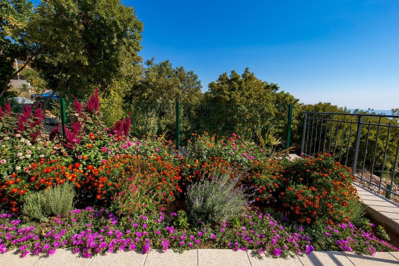 Villa Teza, Amazing View Glavani エクステリア 写真